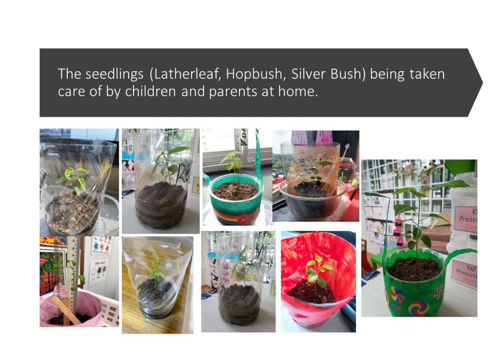 Seeding Our Future — photo 1