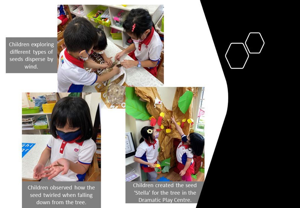 Seeding Our Future — photo 2