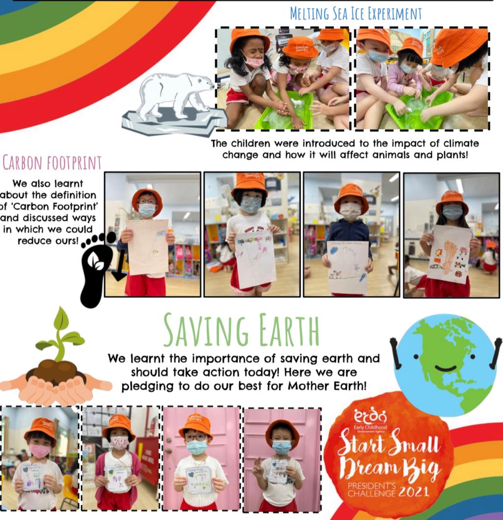 June - start of “Go Green, Grow Green” project — photo 2