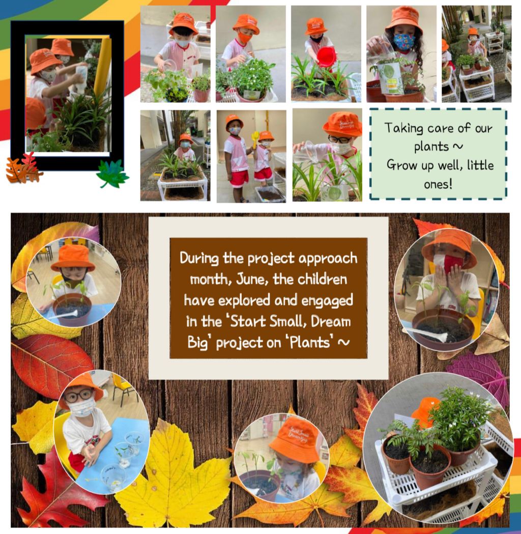 June - start of “Go Green, Grow Green” project — photo 4