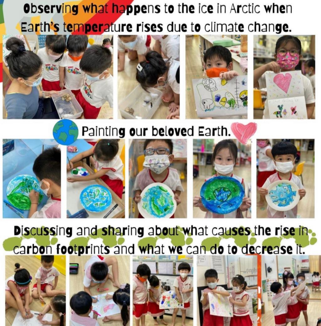 June - start of “Go Green, Grow Green” project — photo 6