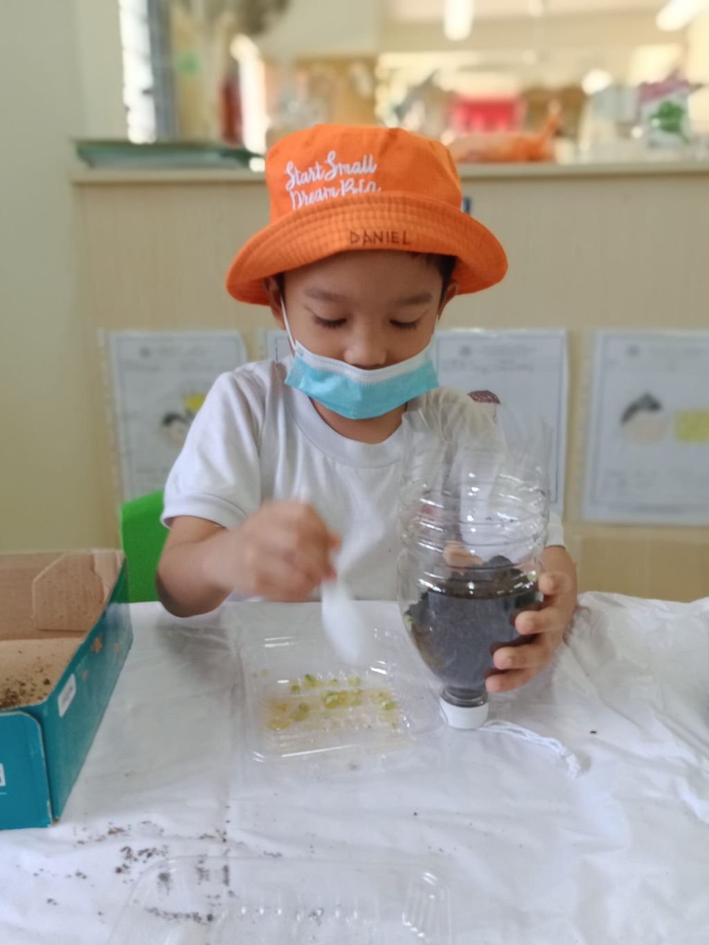 K1 children SSDB Gardening Journal-Lime and Chilli — photo 2