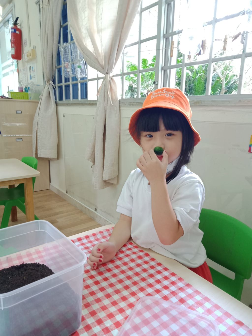 K1 children SSDB Gardening Journal-Lime and Chilli — photo 3