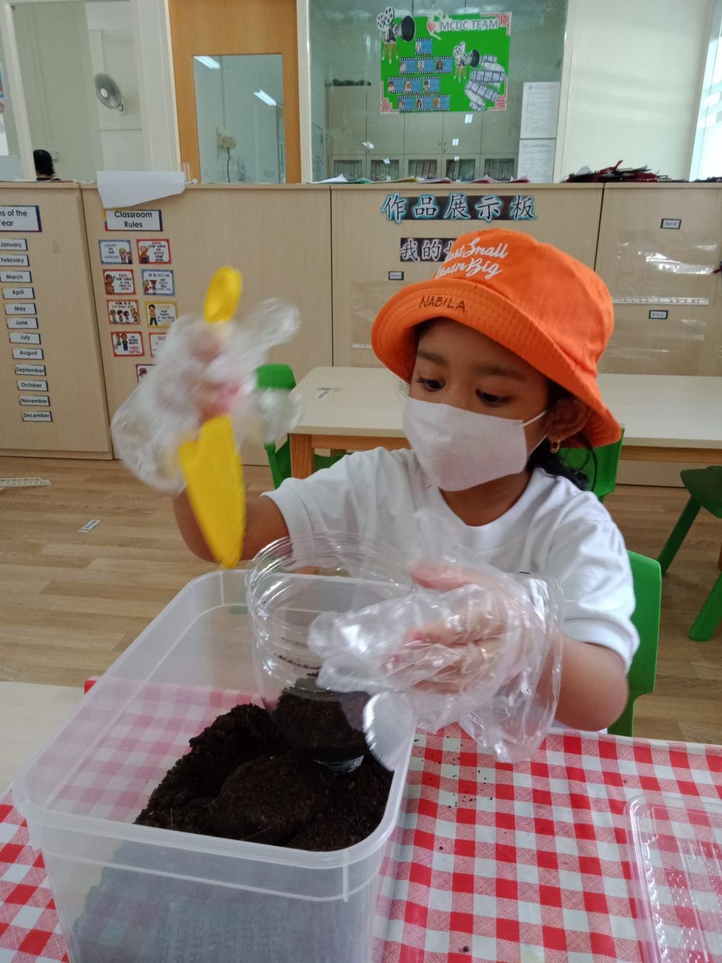 K1 children SSDB Gardening Journal-Lime and Chilli — photo 5