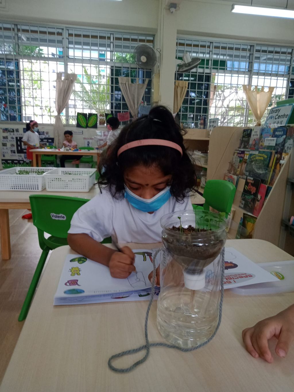 K1 children SSDB Gardening Journal-Lime and Chilli — photo 8
