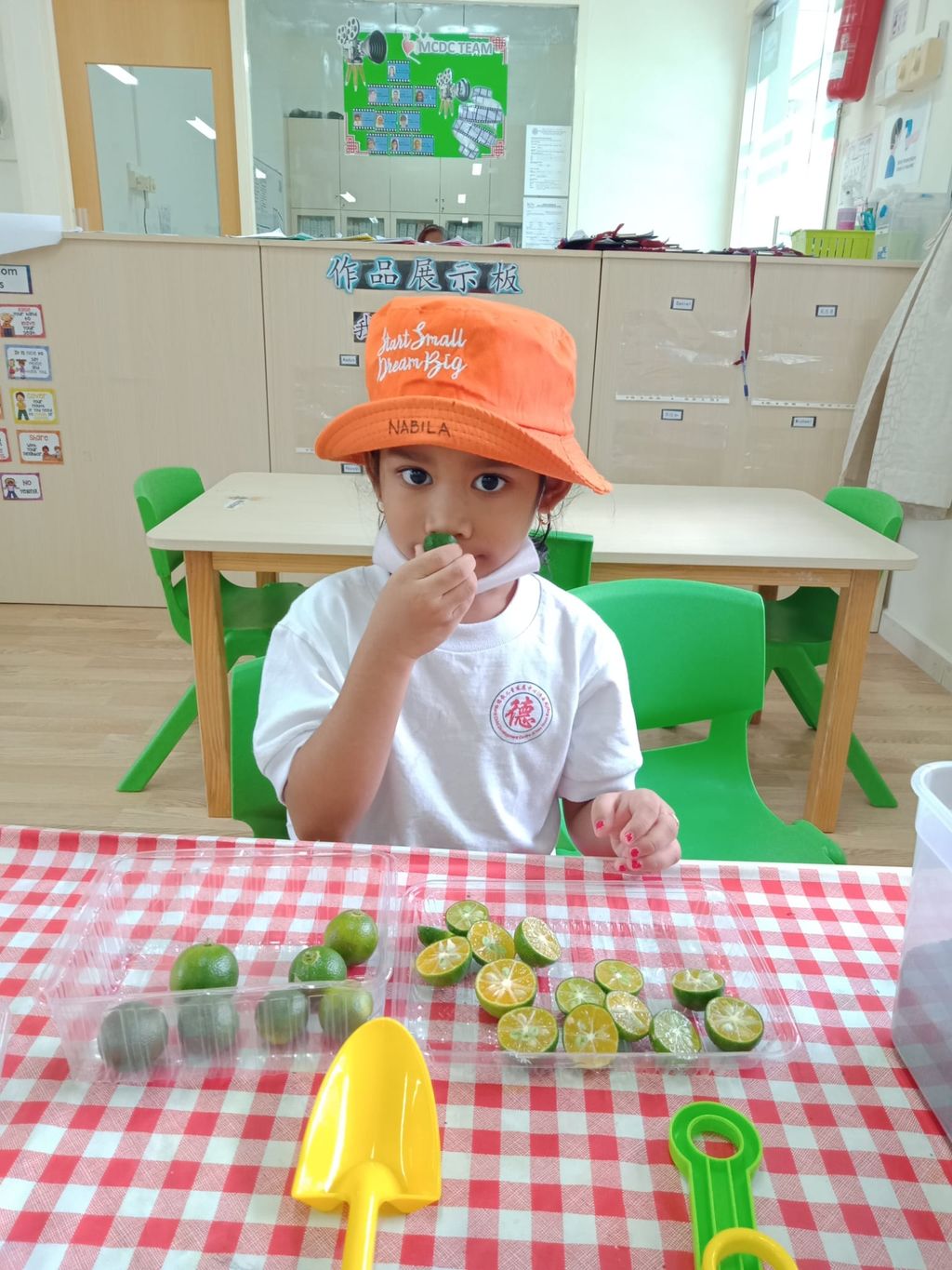 K1 children SSDB Gardening Journal-Lime and Chilli — photo 9