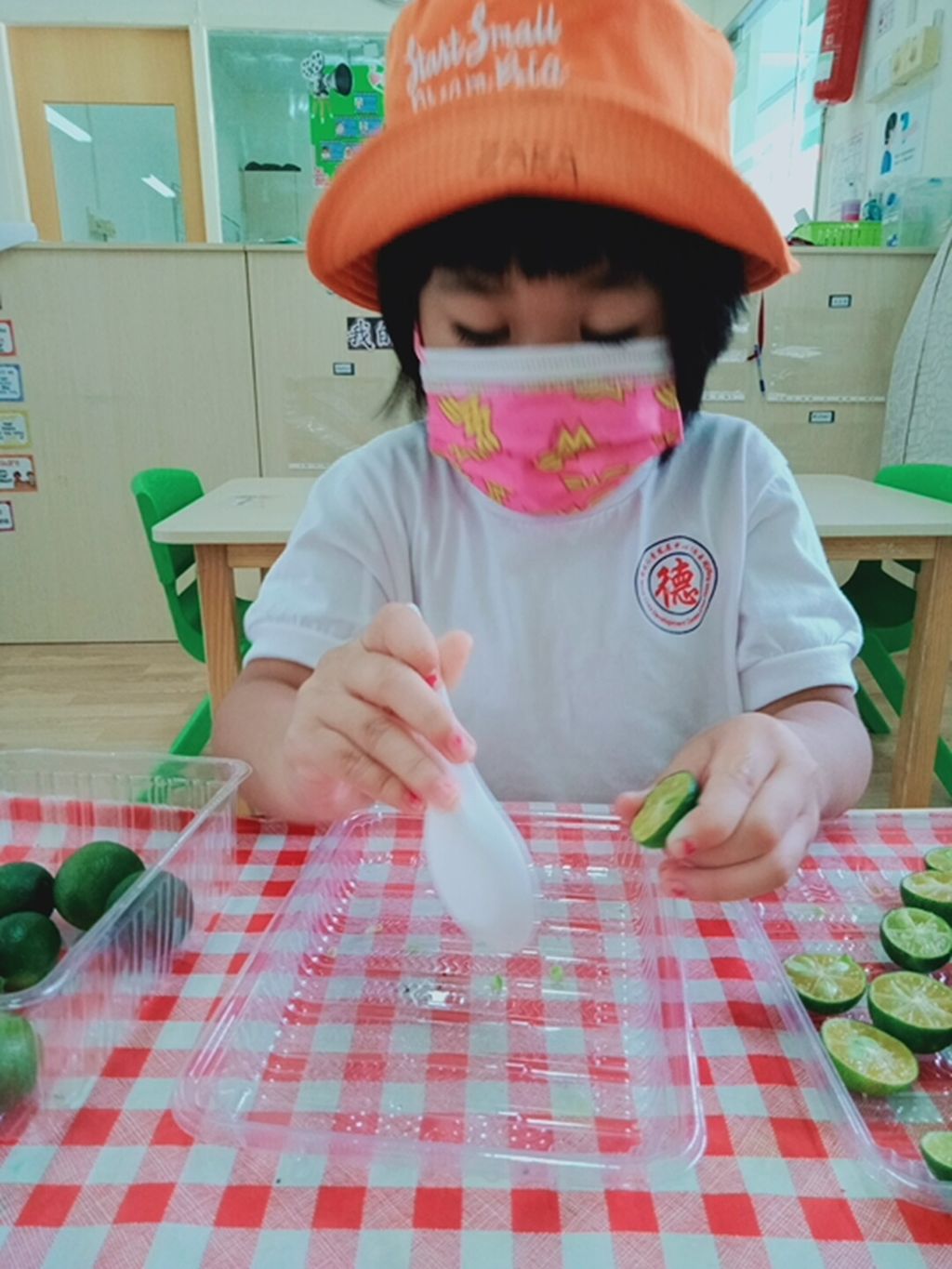K1 children SSDB Gardening Journal-Lime and Chilli — photo 10
