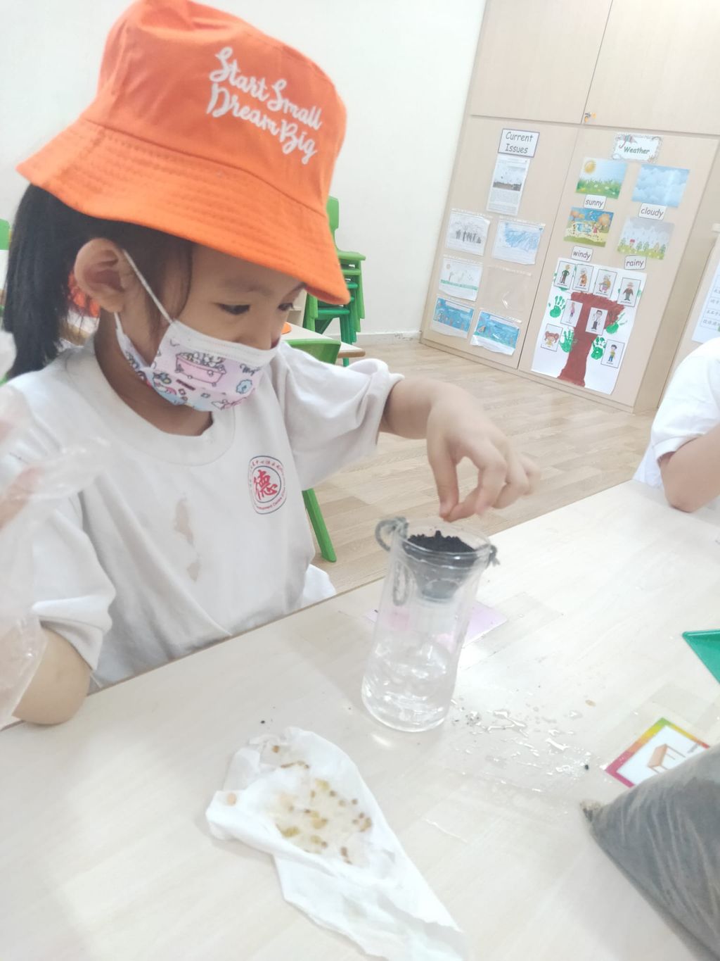K2 children SSDB Gardening Journal-Tomato and Onion — photo 2