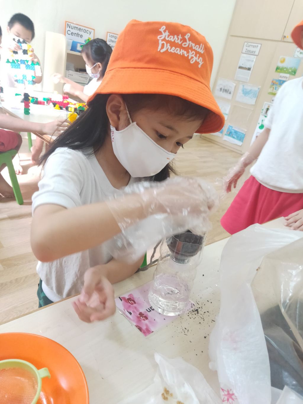 K2 children SSDB Gardening Journal-Tomato and Onion — photo 3