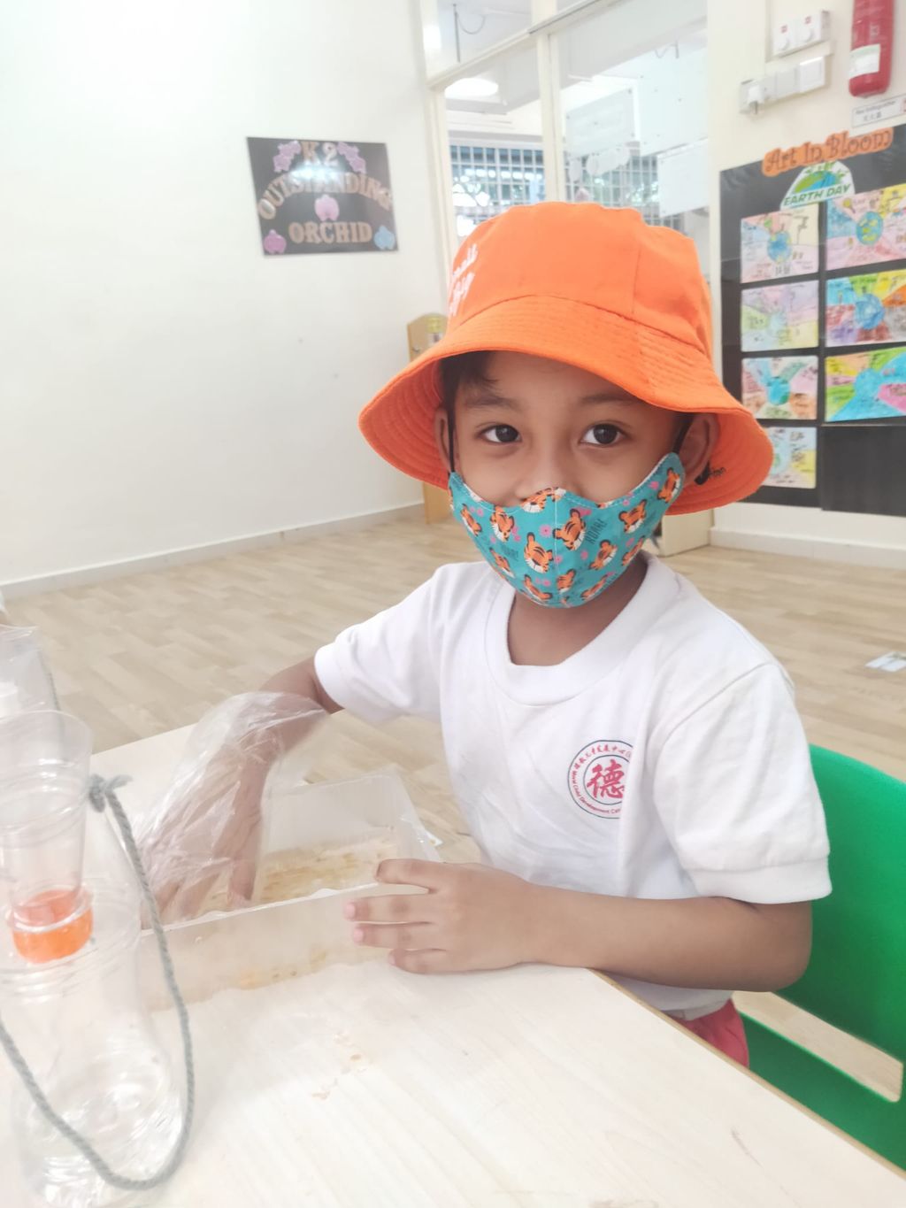 K2 children SSDB Gardening Journal-Tomato and Onion — photo 4
