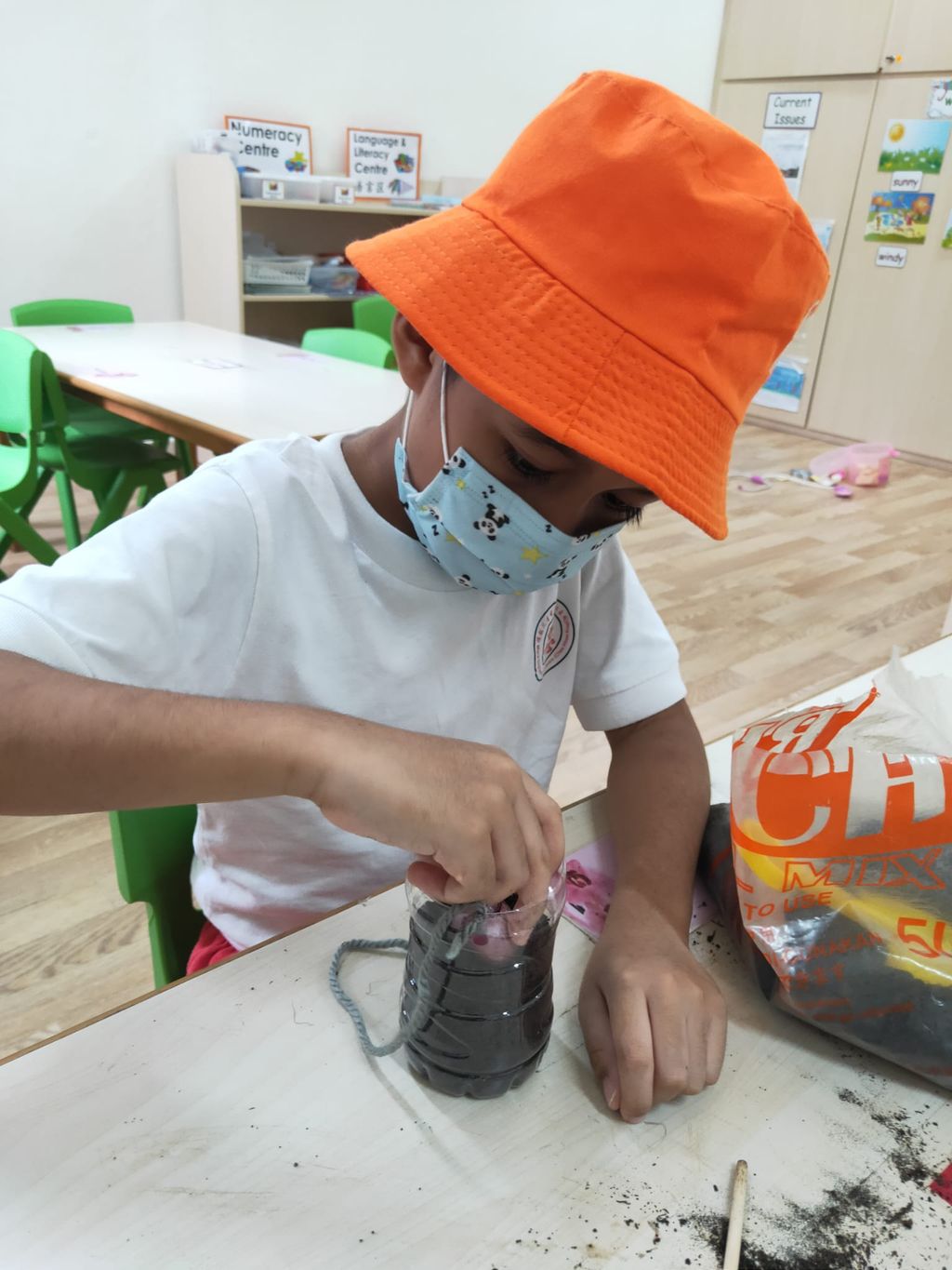 K2 children SSDB Gardening Journal-Tomato and Onion — photo 5