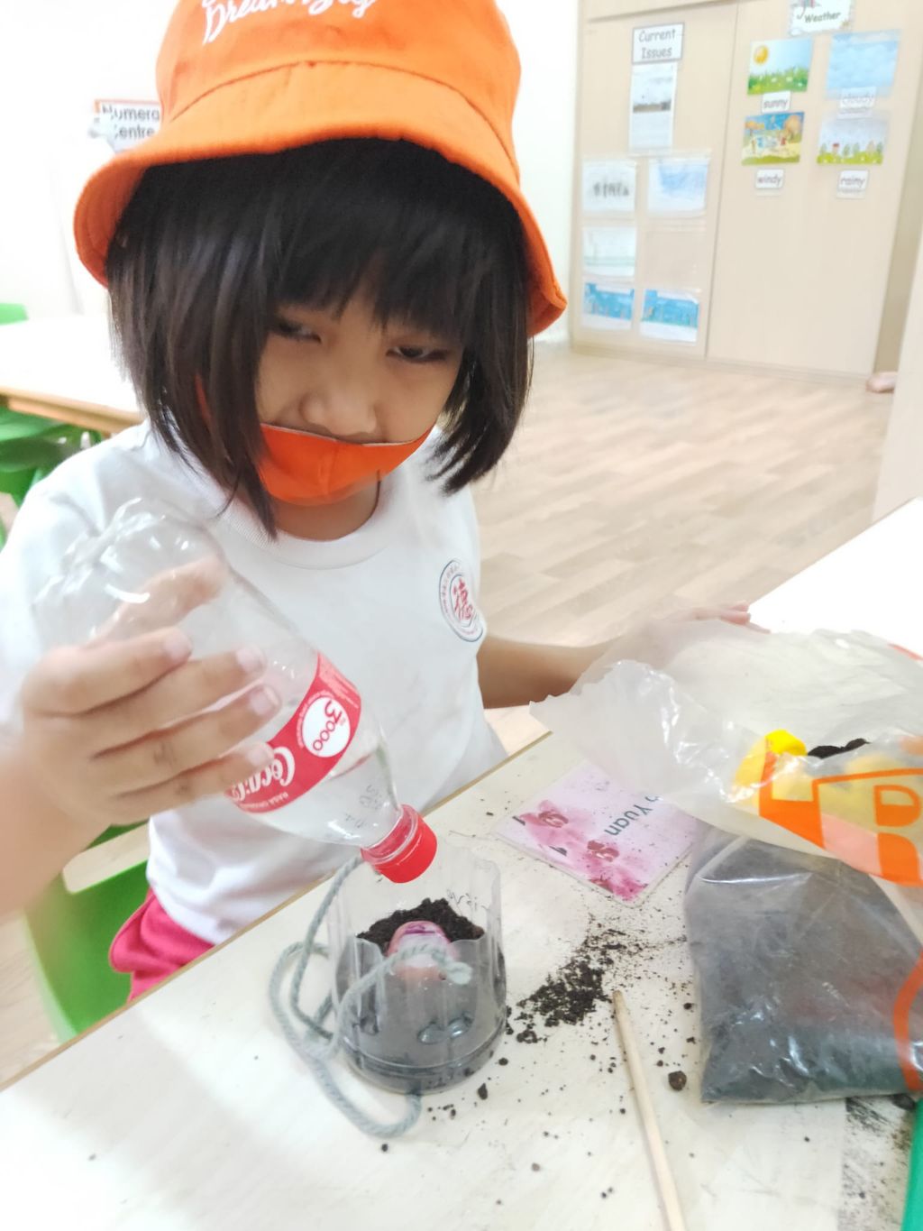 K2 children SSDB Gardening Journal-Tomato and Onion — photo 11