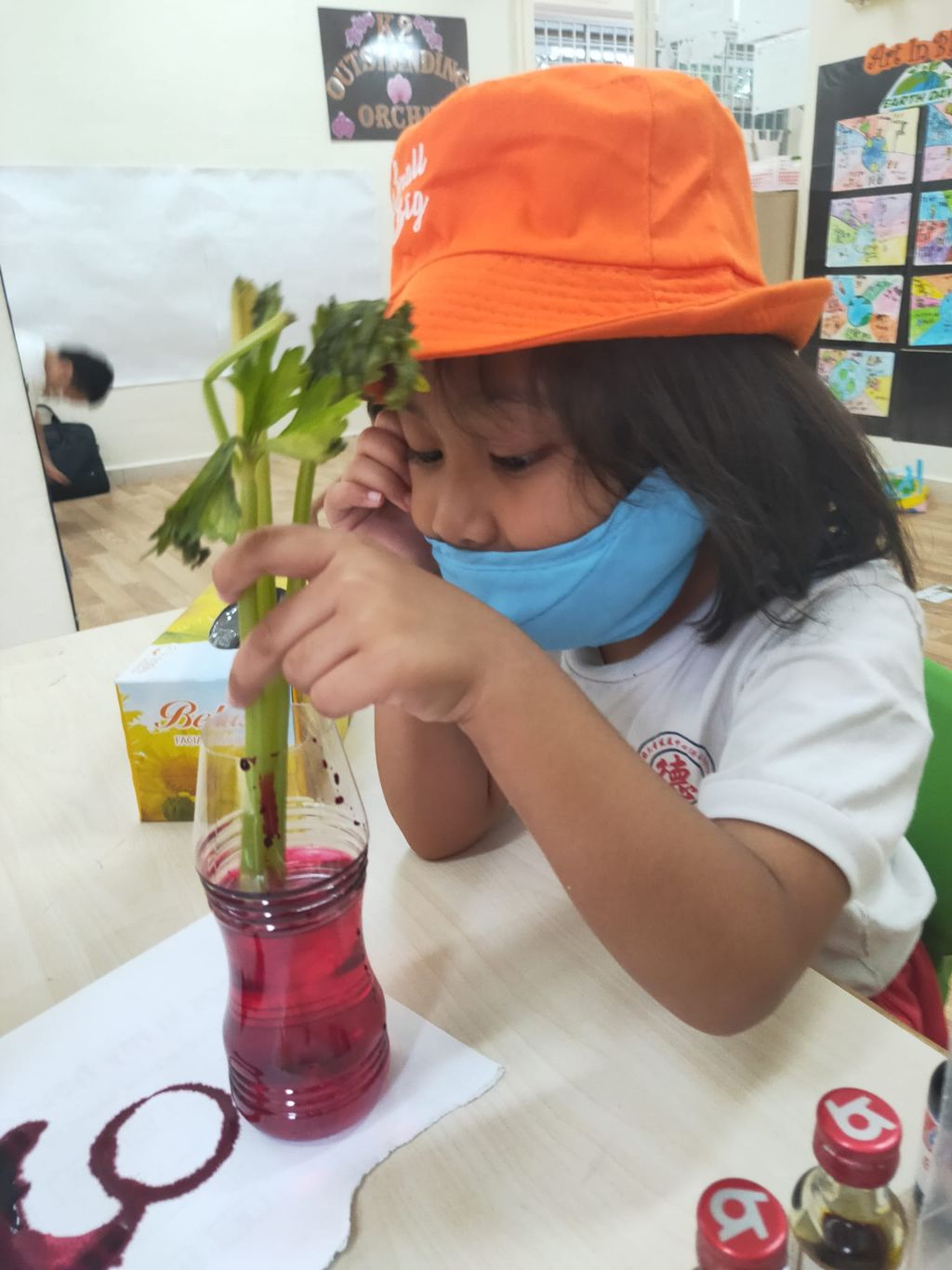 K2 children SSDB Gardening Journal-Tomato and Onion — photo 12