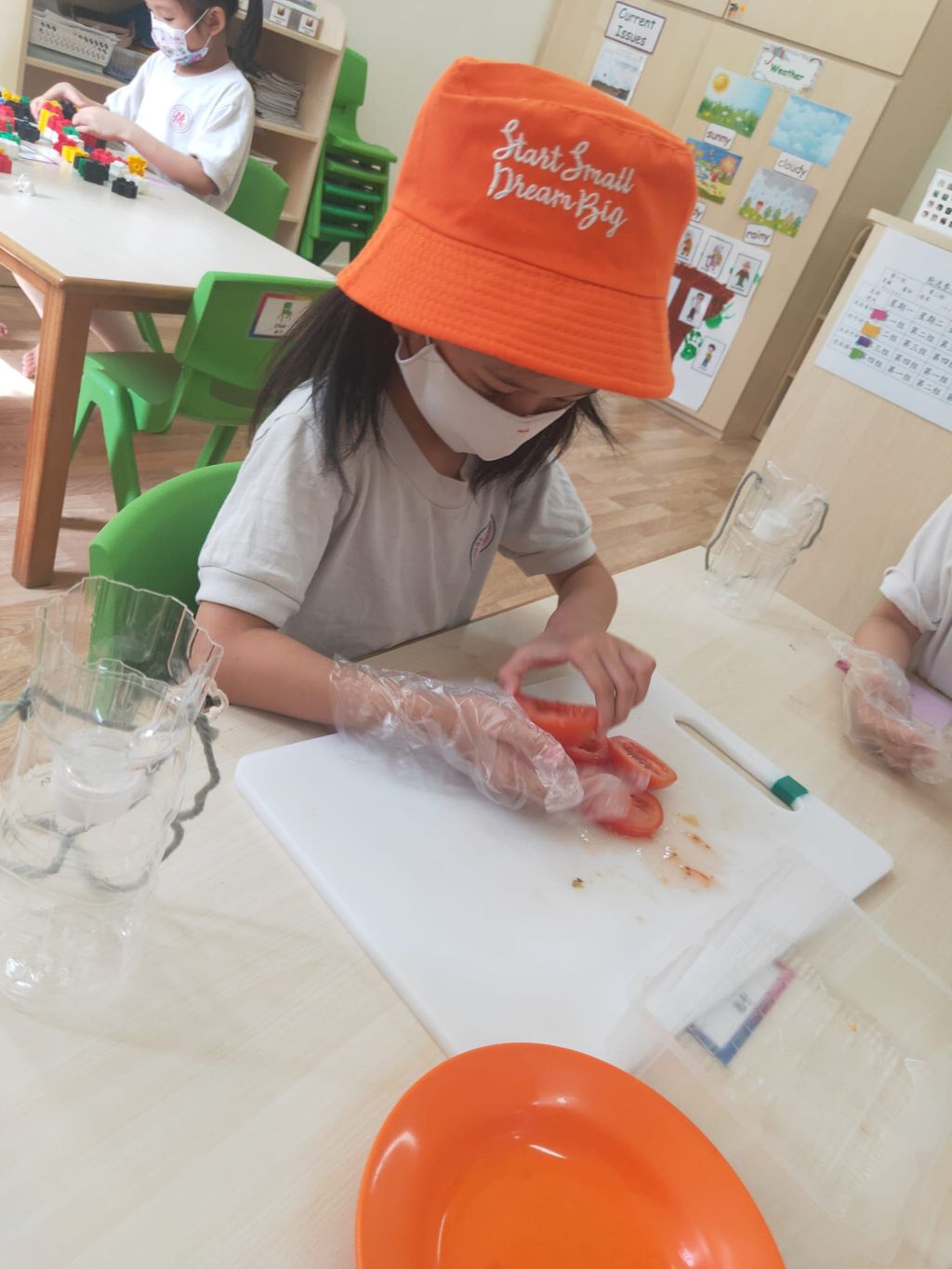 K2 children SSDB Gardening Journal-Tomato and Onion — photo 15