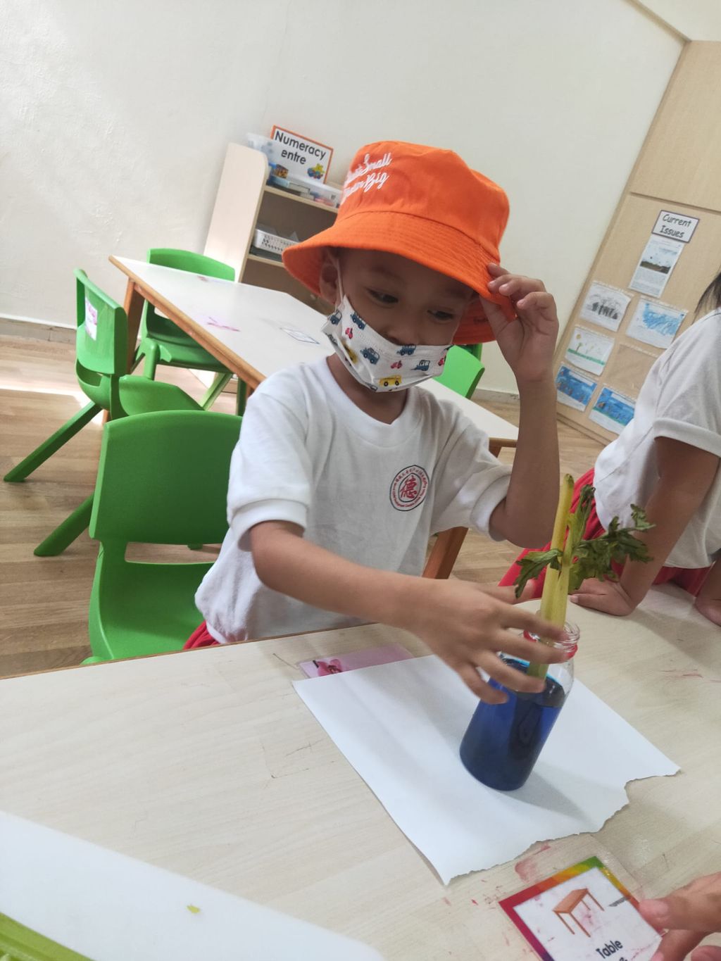 K2 children SSDB Gardening Journal-Tomato and Onion — photo 16