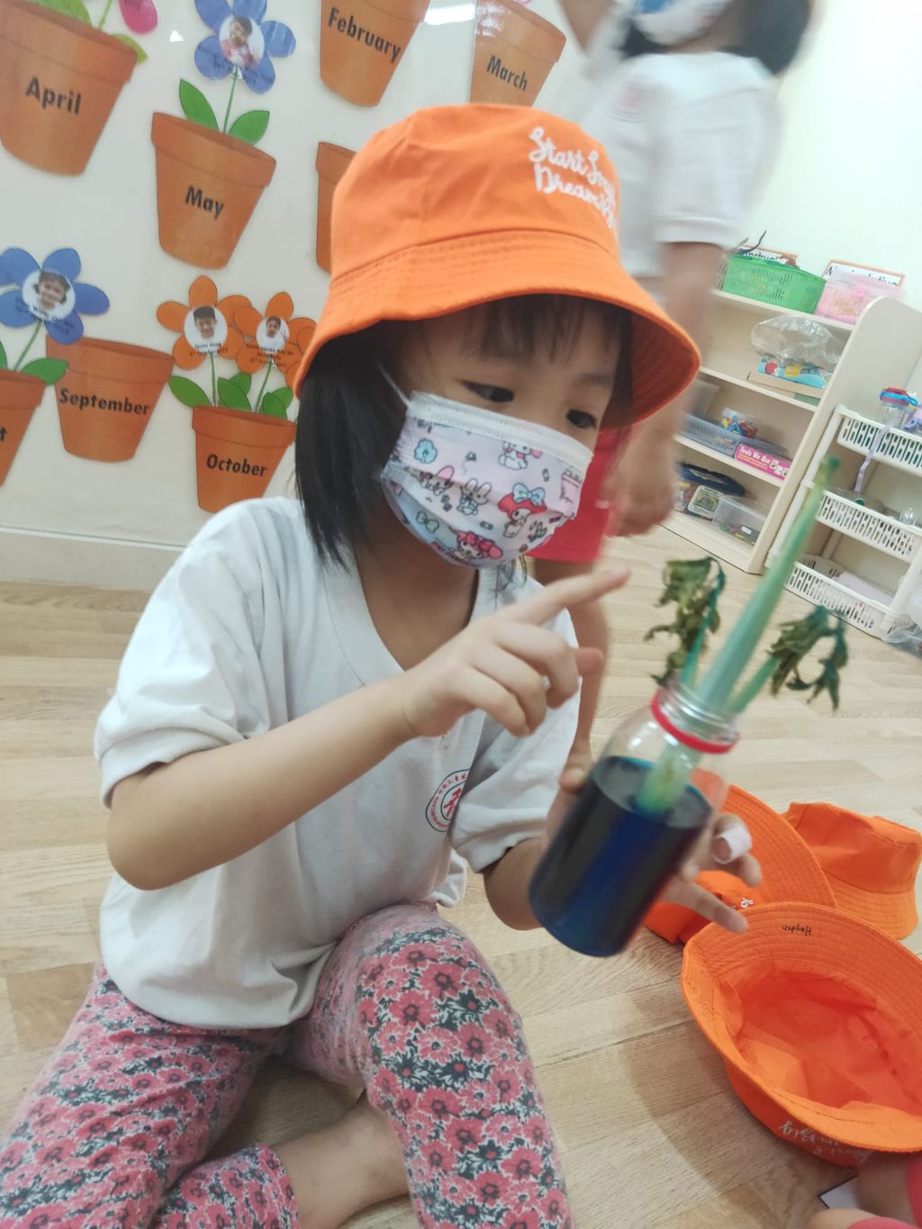K2 children SSDB Gardening Journal-Tomato and Onion — photo 19