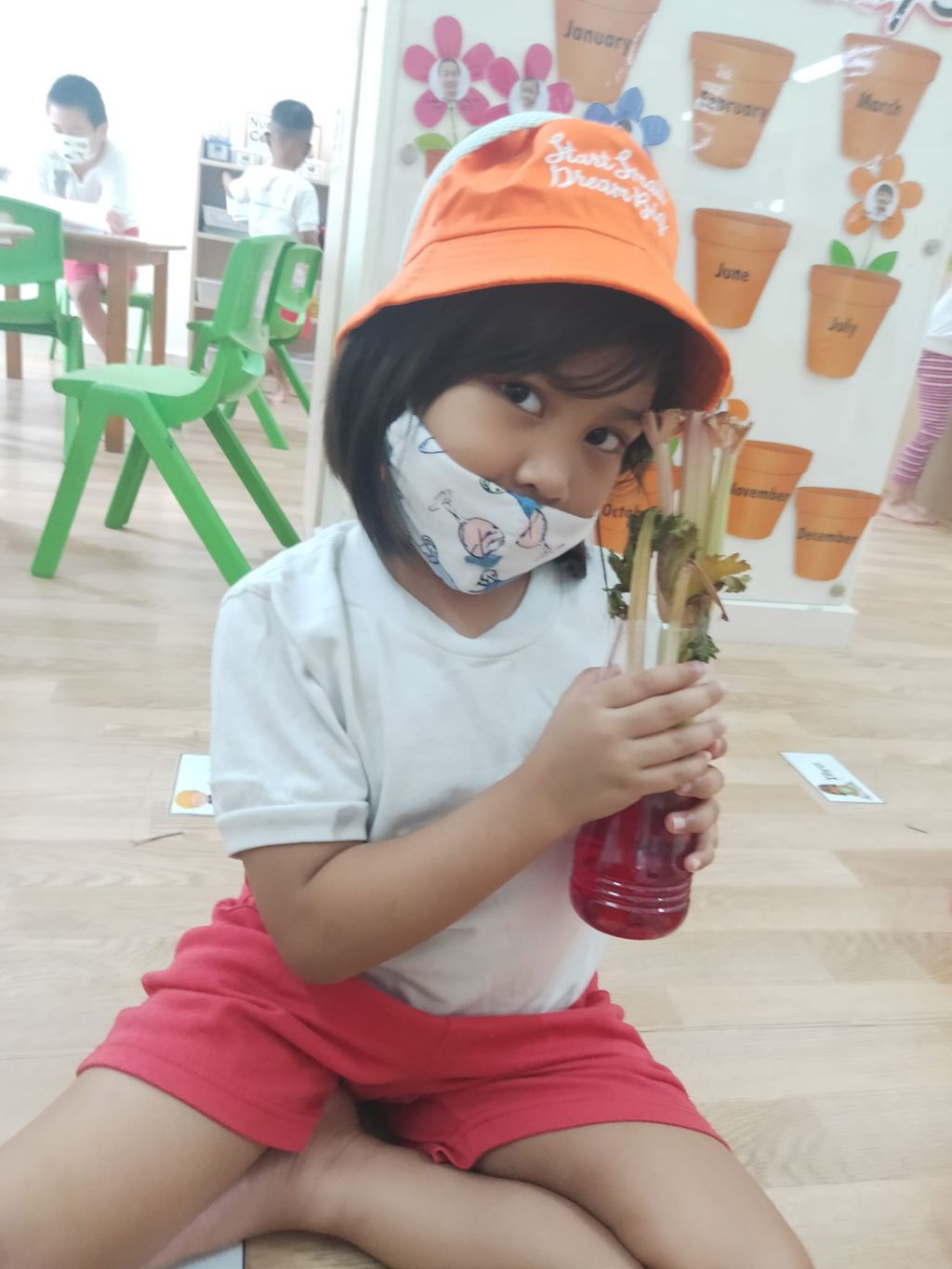 K2 children SSDB Gardening Journal-Tomato and Onion — photo 20