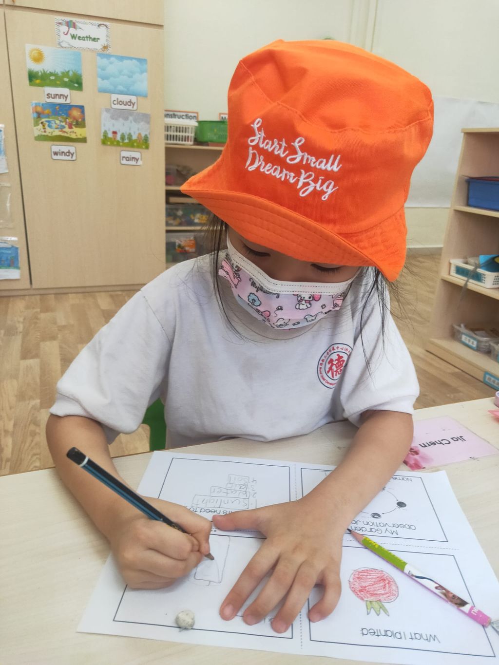 K2 children SSDB Gardening Journal-Tomato and Onion — photo 21