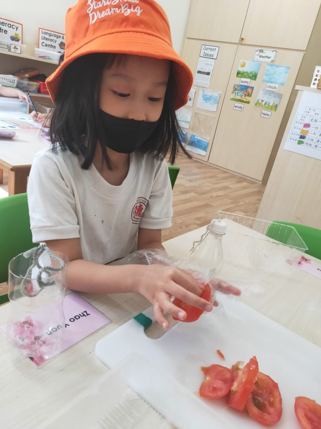 K2 children SSDB Gardening Journal-Tomato and Onion — photo 22