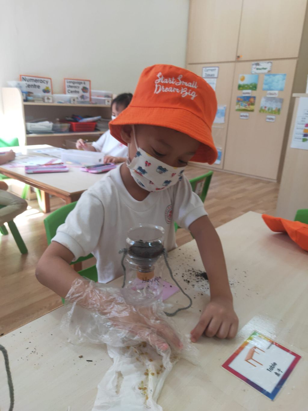 K2 children SSDB Gardening Journal-Tomato and Onion — photo 23