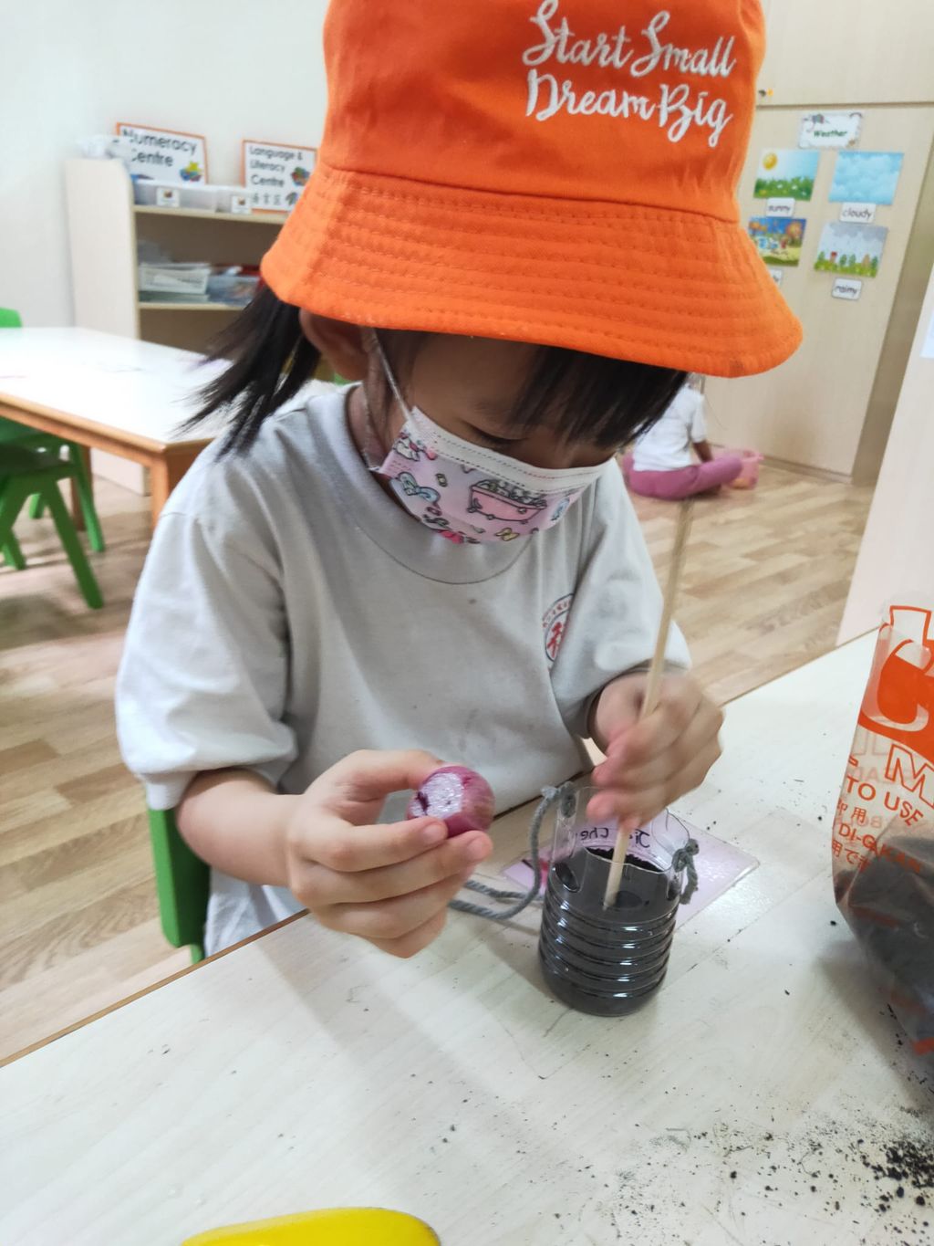 K2 children SSDB Gardening Journal-Tomato and Onion — photo 24