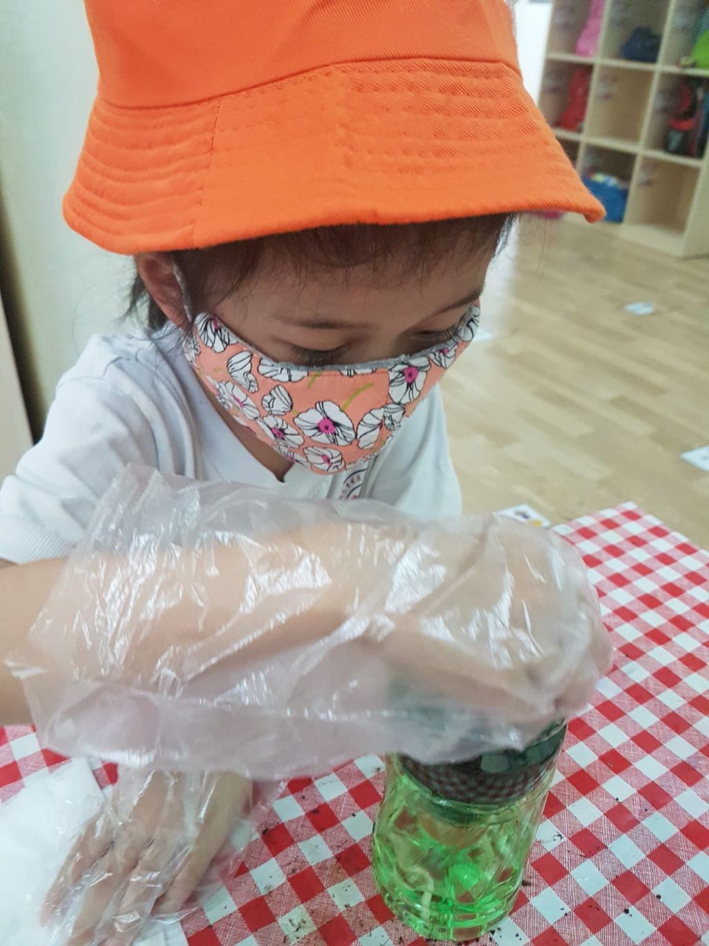 K2 SSDB 园艺日记 — photo 2