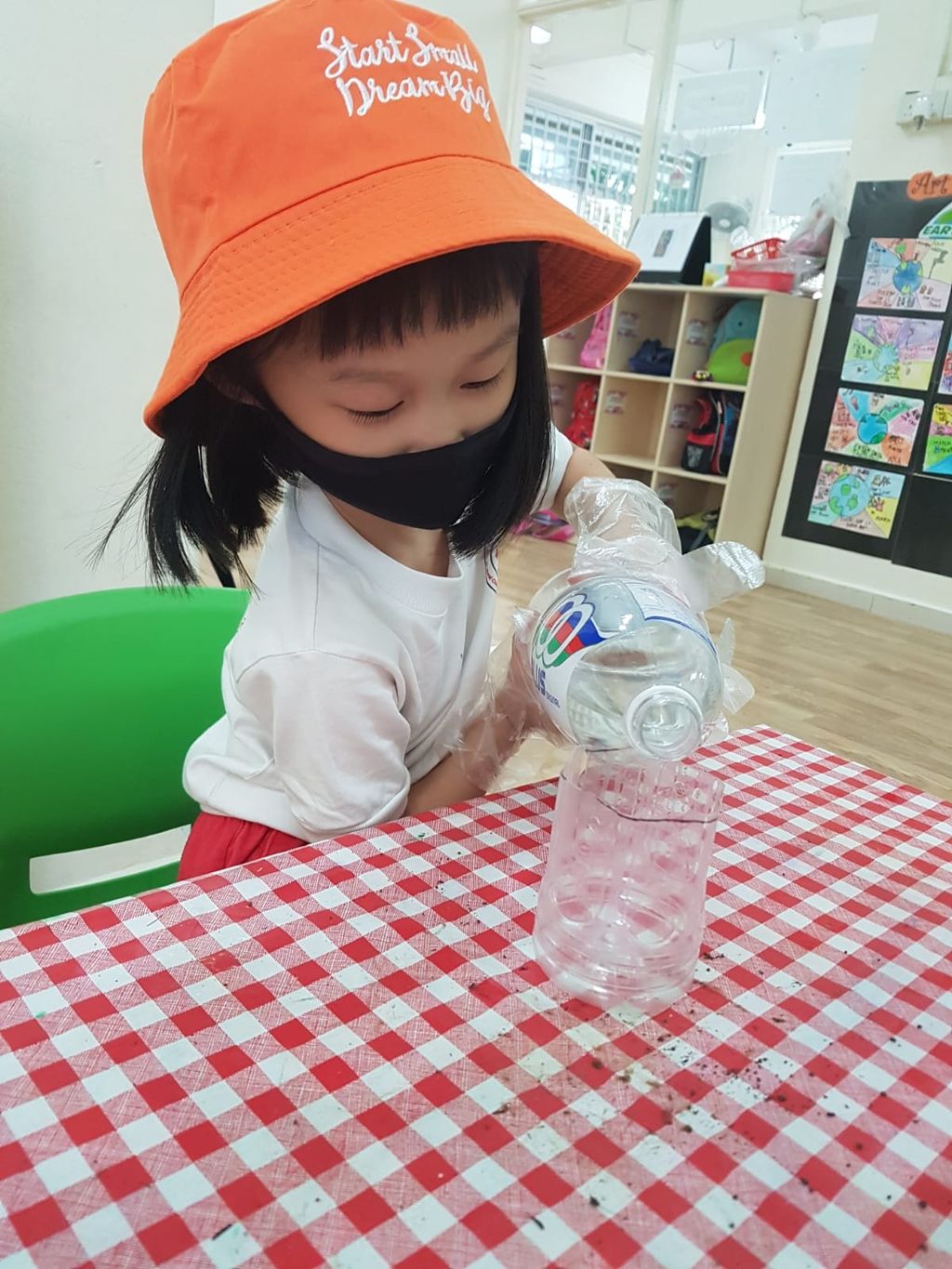 K2 SSDB 园艺日记 — photo 3