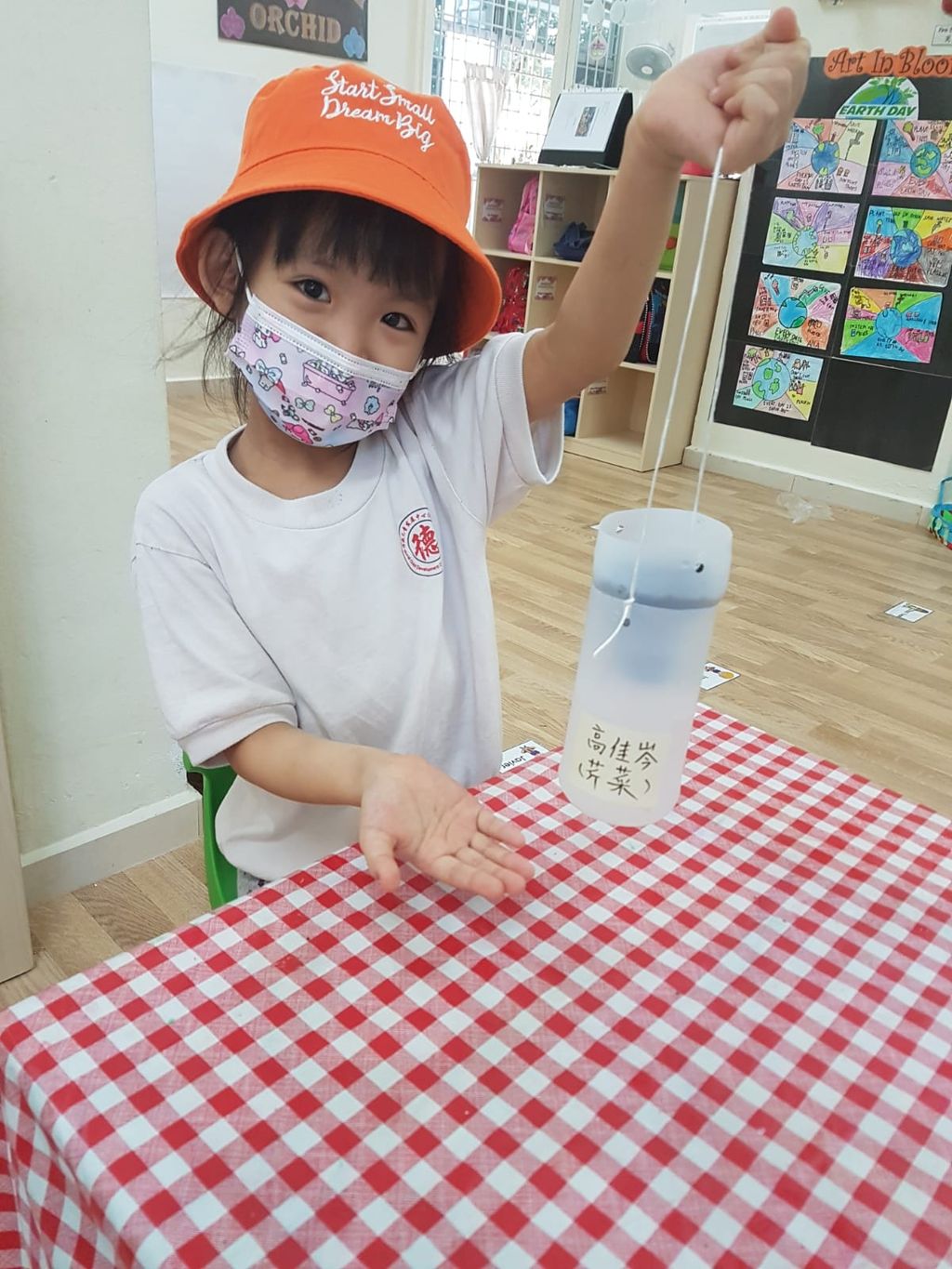 K2 SSDB 园艺日记 — photo 9