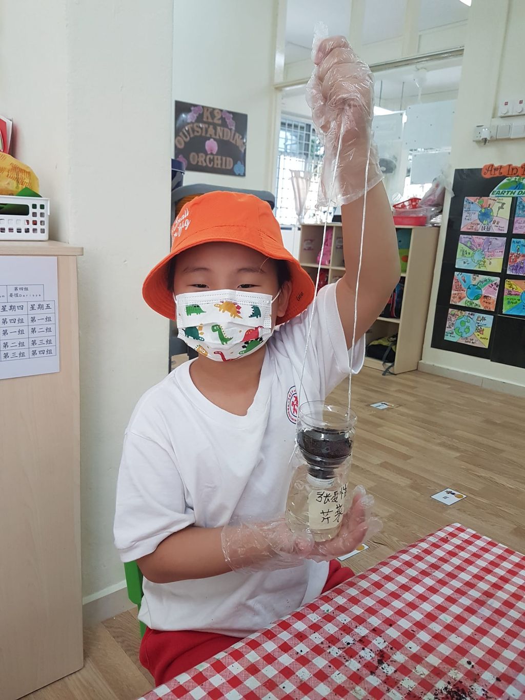 K2 SSDB 园艺日记 — photo 21