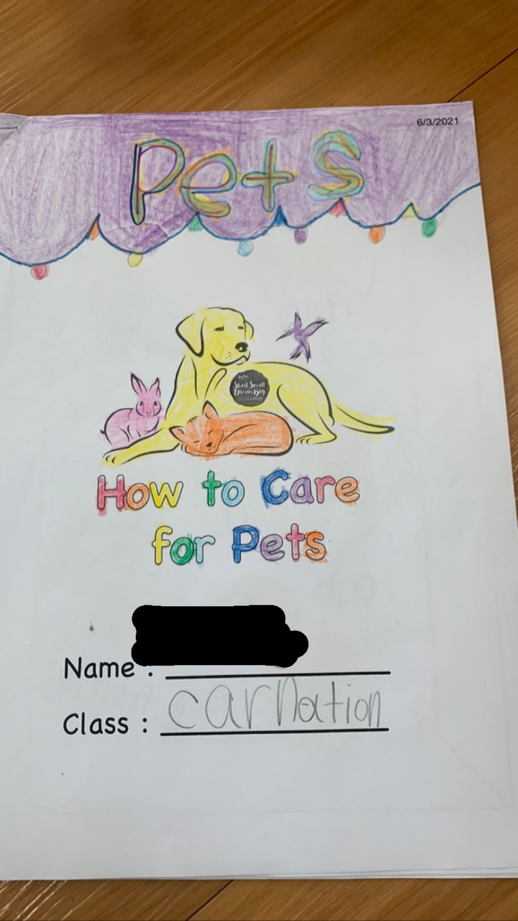 How to take care of the different pet animals?