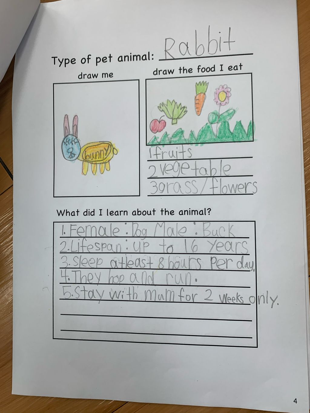 How to take care of the different pet animals? — photo 2