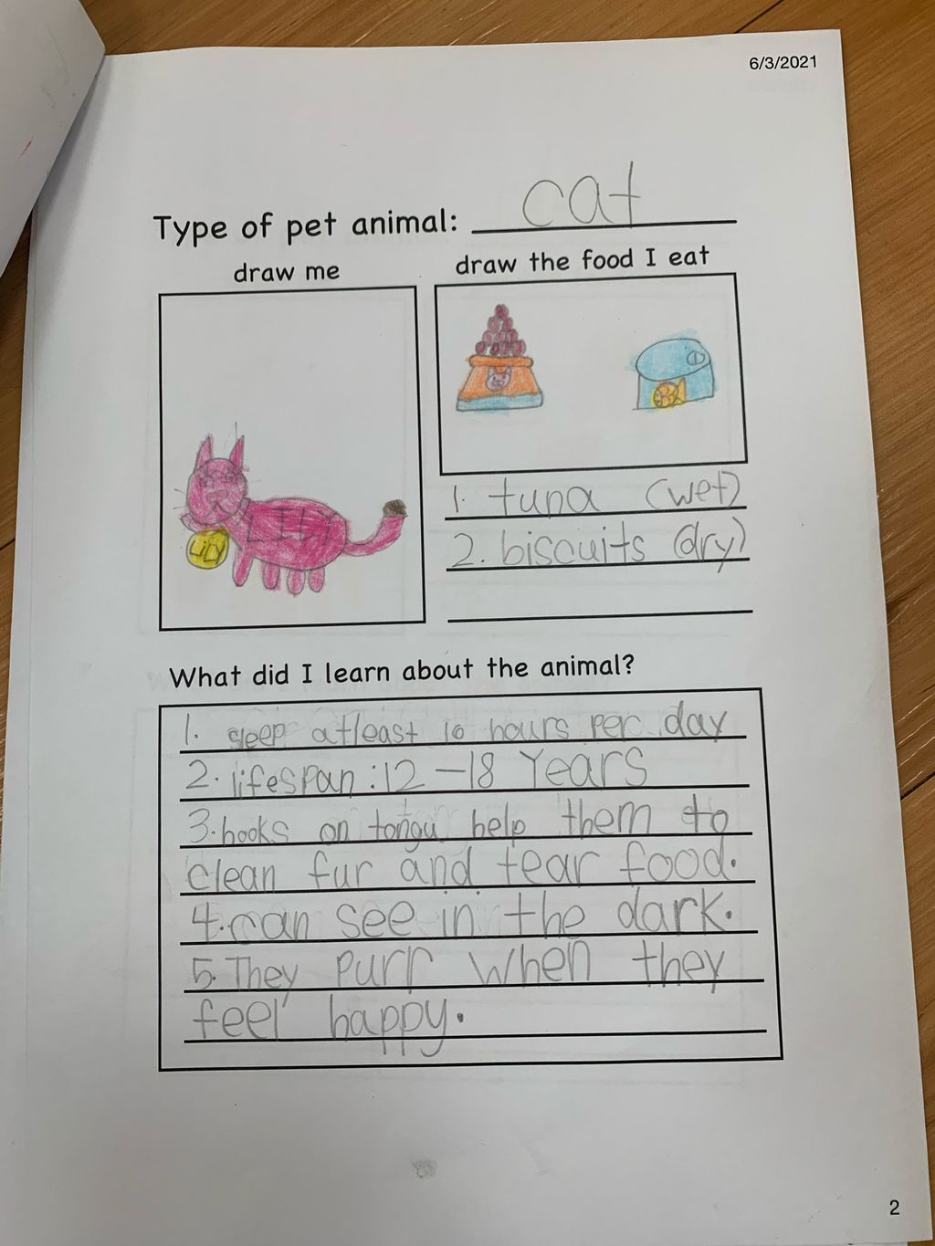 How to take care of the different pet animals? — photo 3