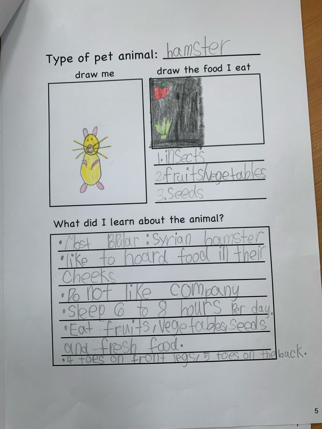 How to take care of the different pet animals? — photo 4