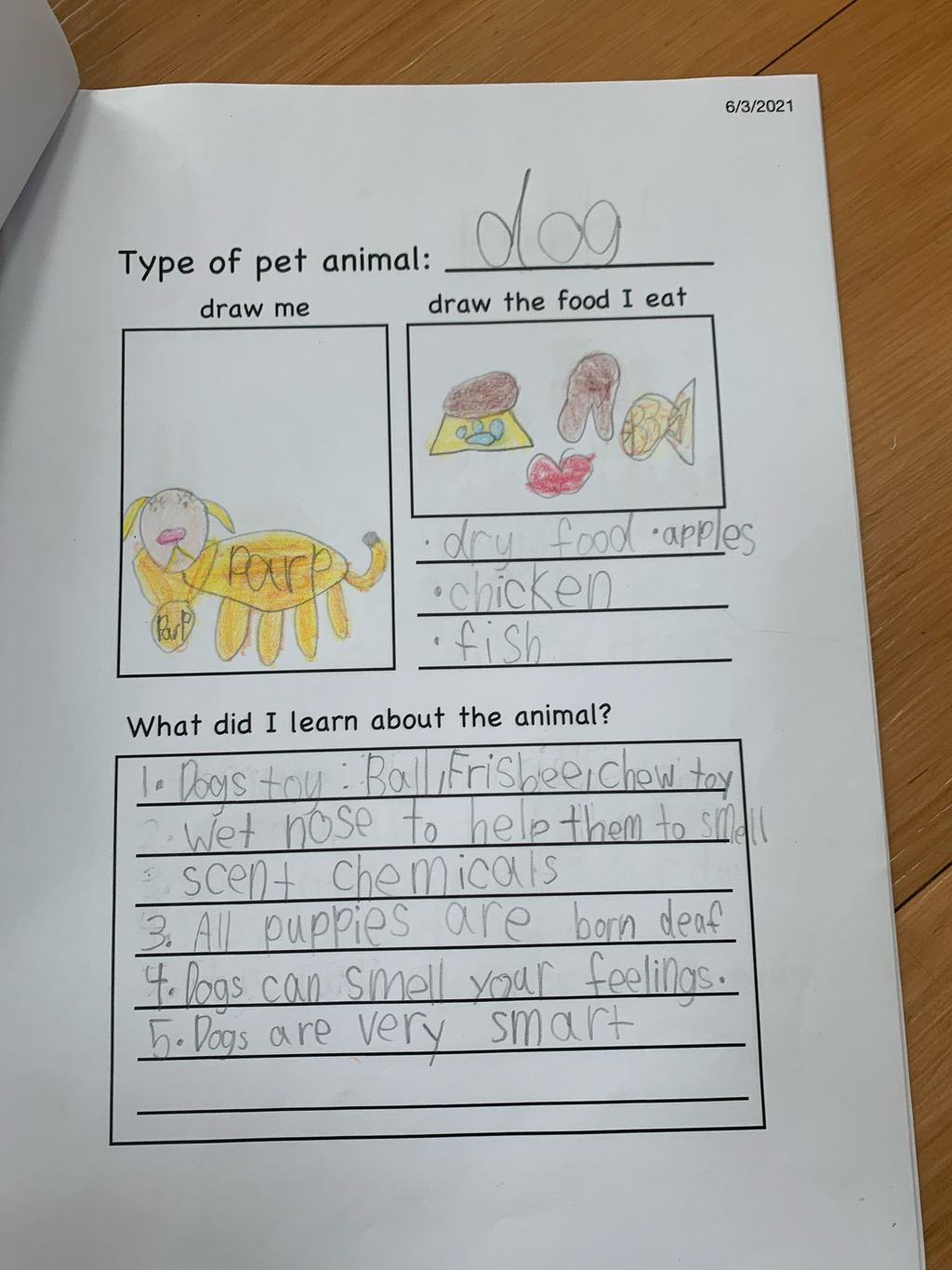 How to take care of the different pet animals? — photo 6