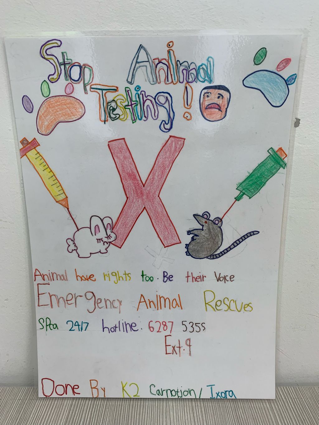 Designing Posters - June Holiday Program — photo 7