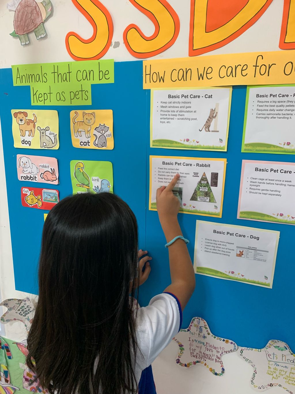 Pet Pledge @ SSDB Corner !😻🐰🐹🐠🐱🐶 — photo 5