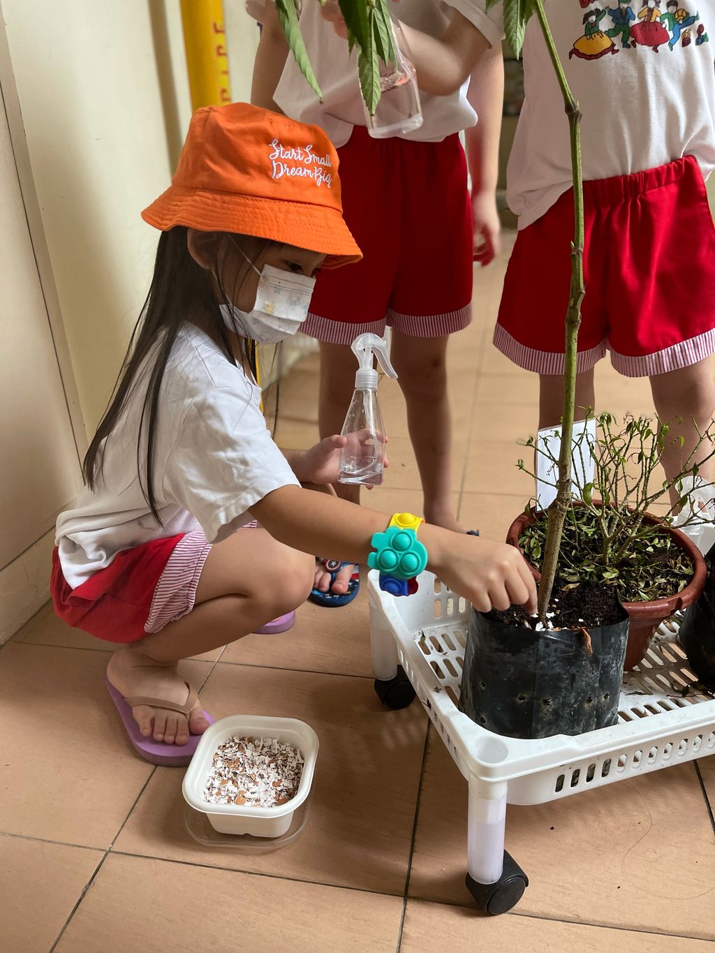 Making DIY Fertilizers from Scratch! — photo 3