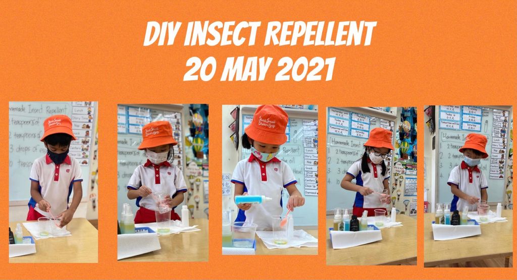 DIY Mosquito Repellent