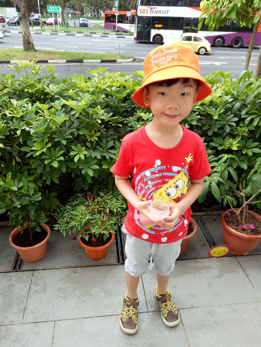 Let's adopt a plant