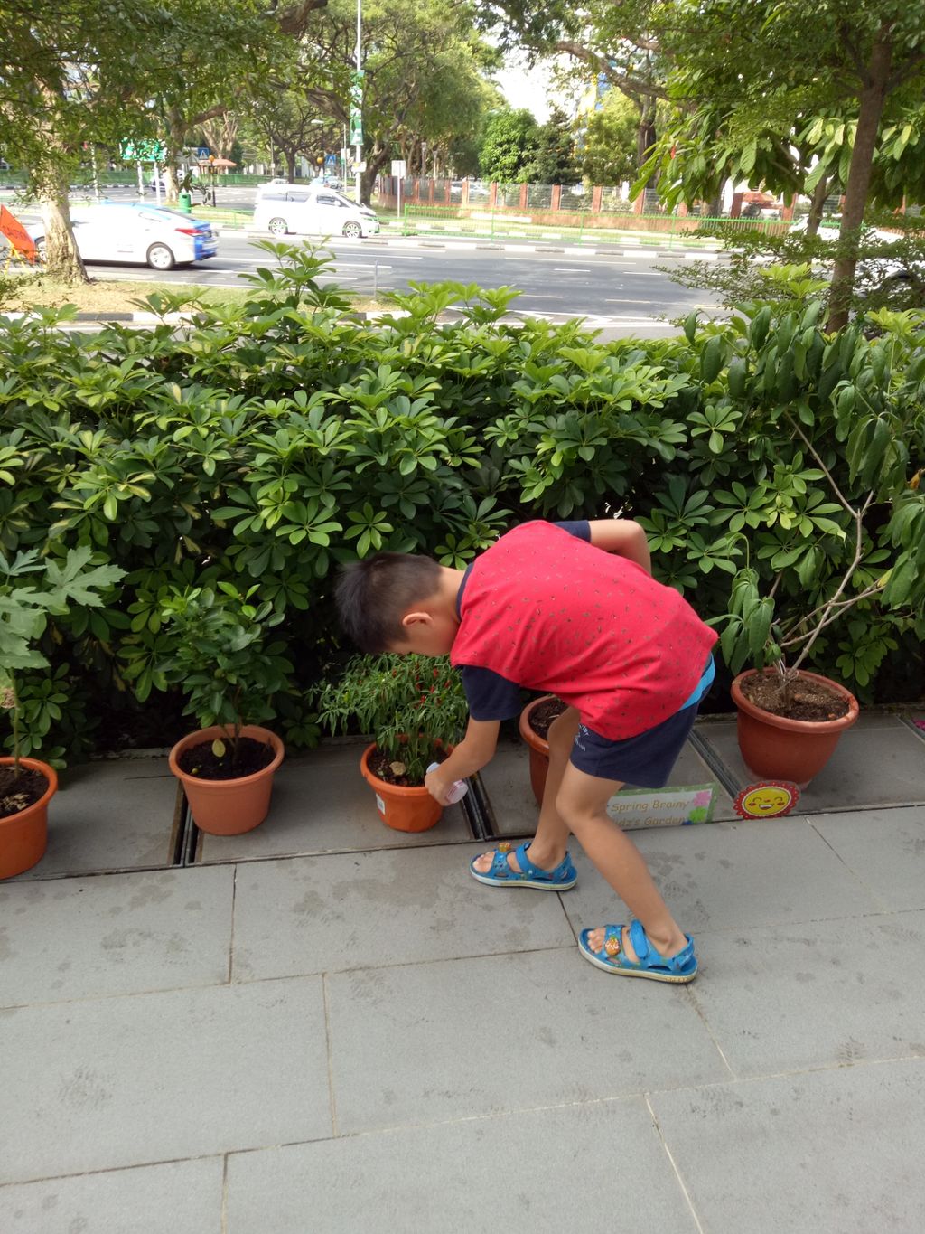 Let the watering begin!