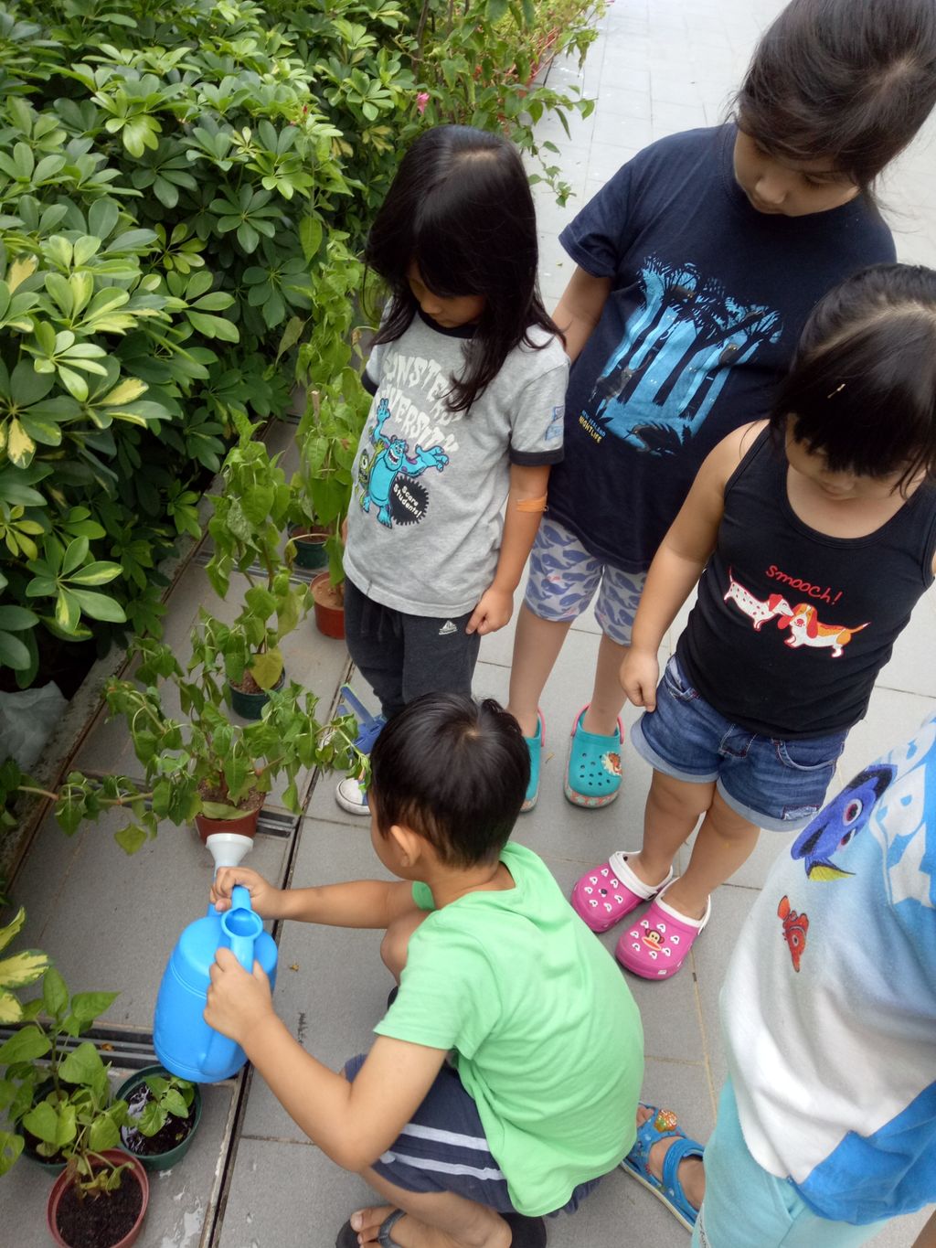 Let the watering begin! — photo 2