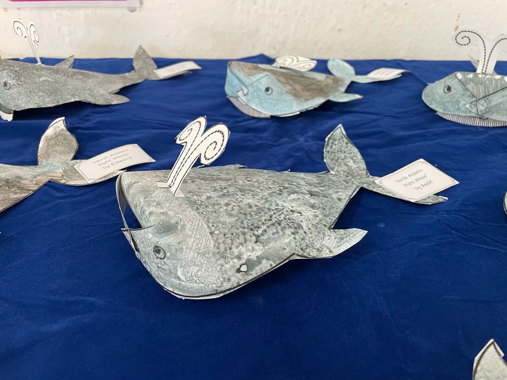 SSDB 2021 Project Finale - My Ocean My Responsibility — photo 2