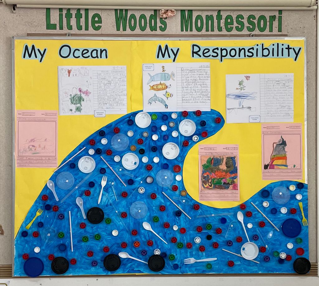 SSDB 2021 Project Finale - My Ocean My Responsibility — photo 3