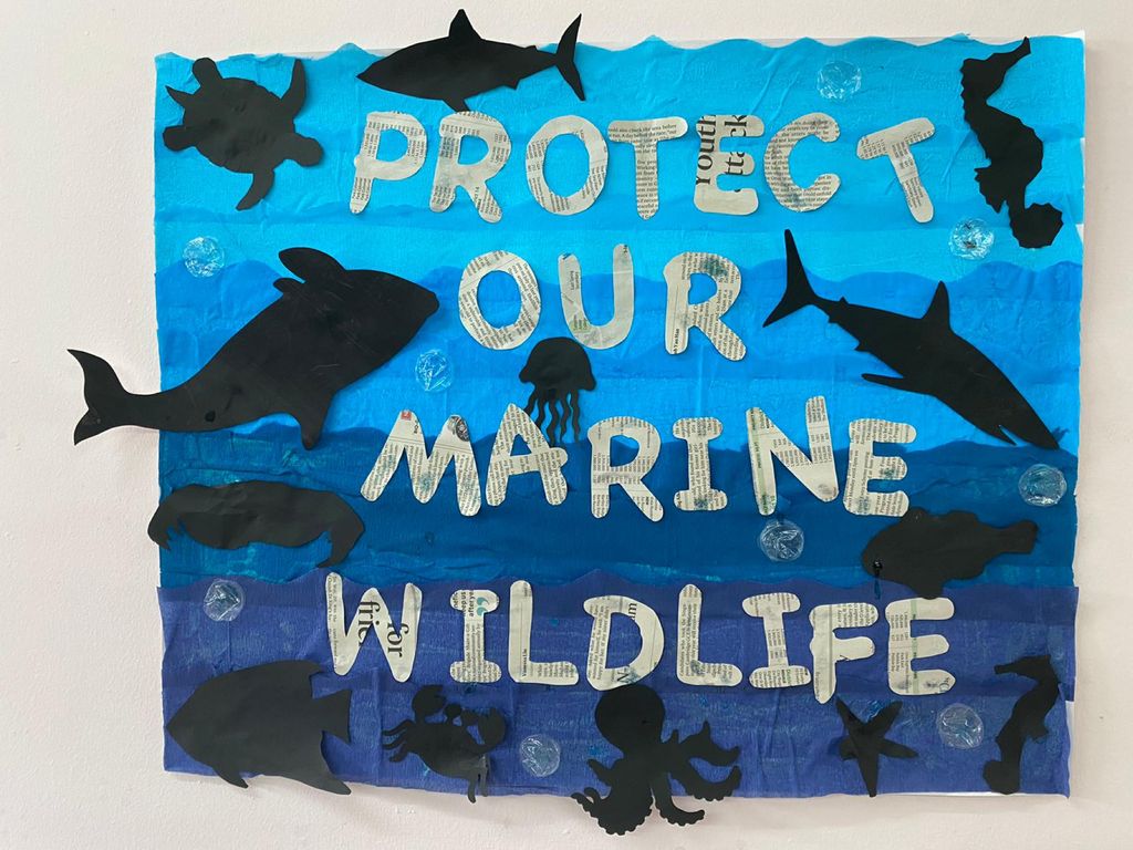 SSDB 2021 Project Finale - My Ocean My Responsibility — photo 8