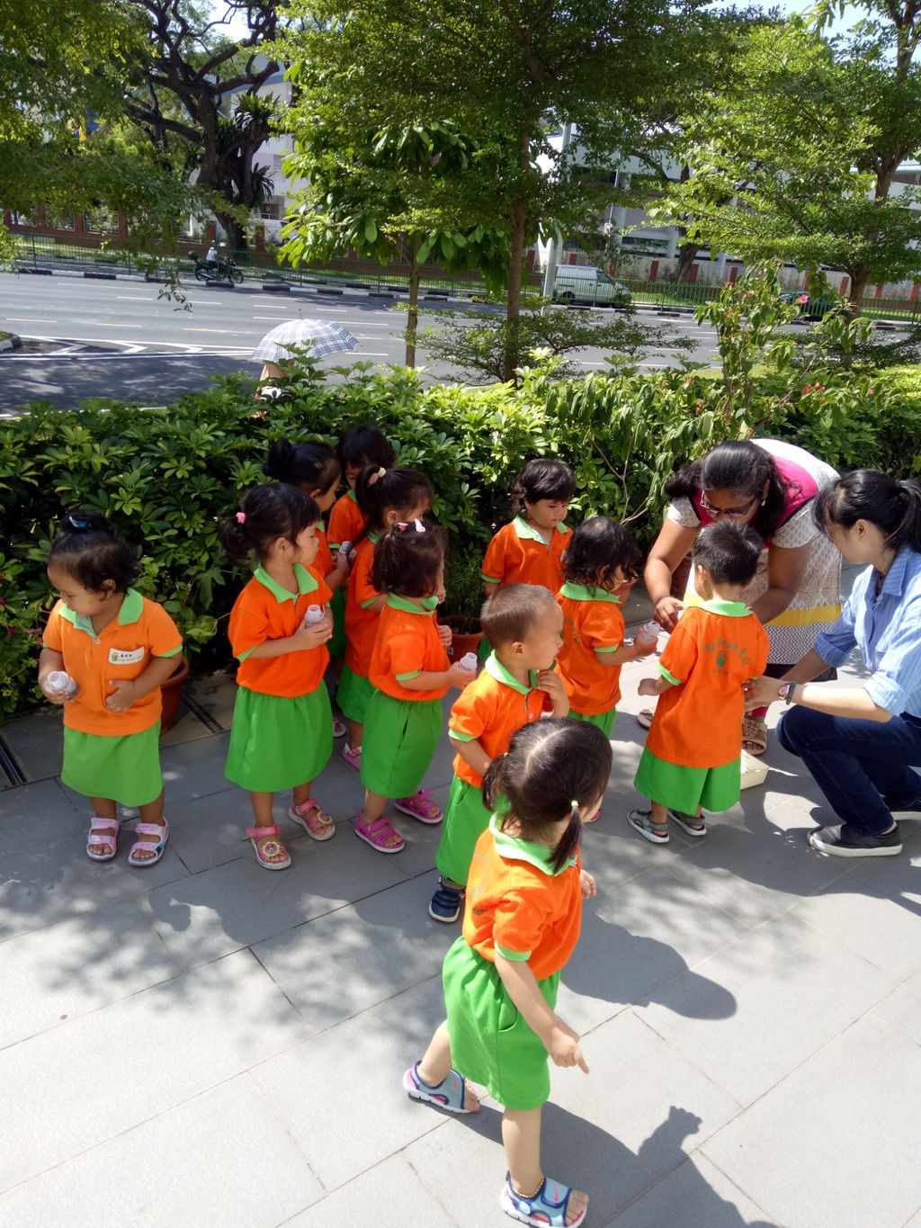 Playgroup and Nursery 1 involvement in bringing nature to school. — photo 4