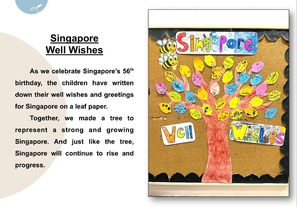 Together our Singapore Spirit — photo 7