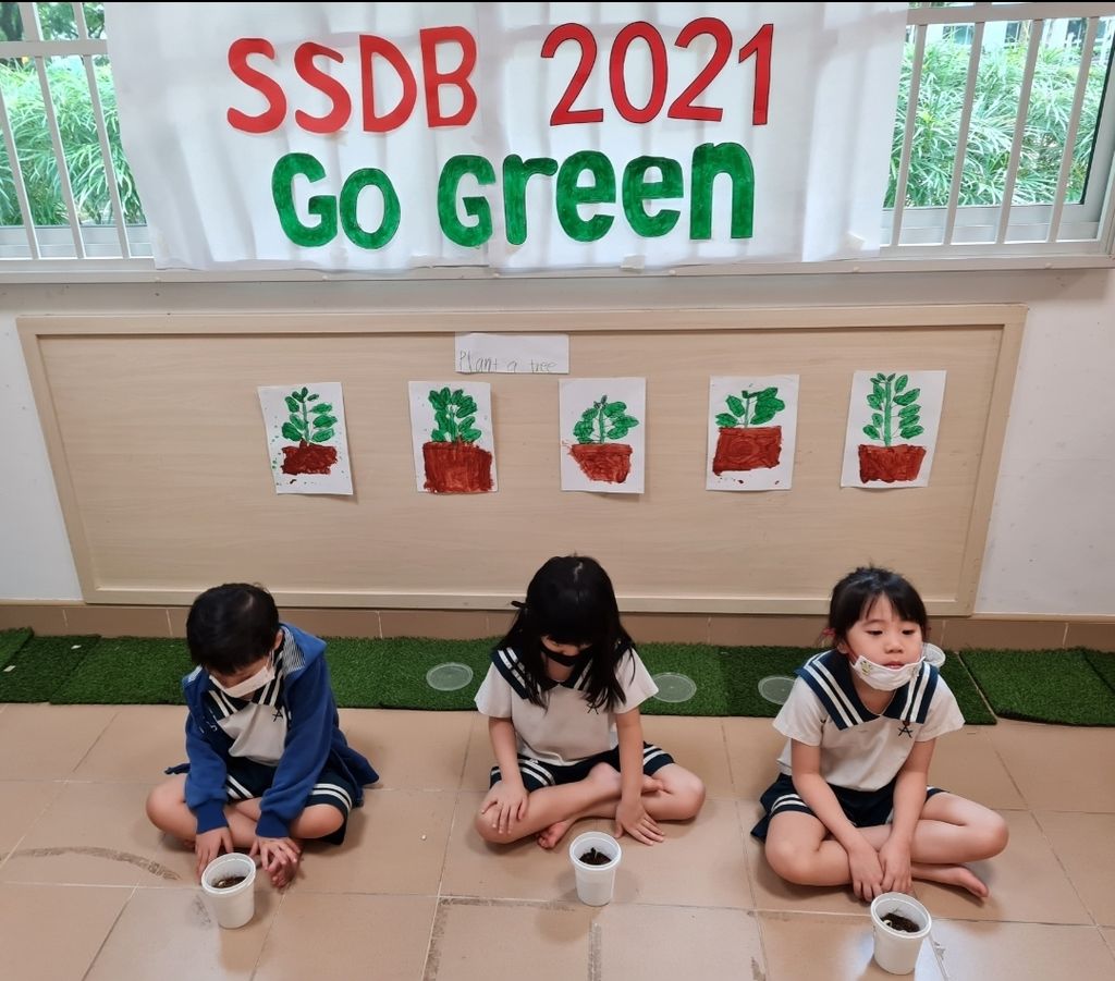 SSDB 2021 Finale — photo 5