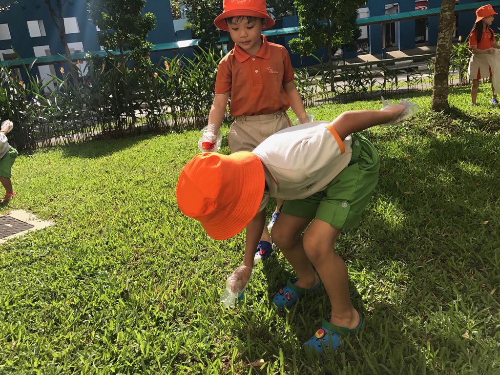 Litter Picking — photo 2