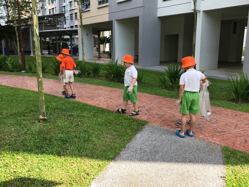 Litter Picking — photo 4