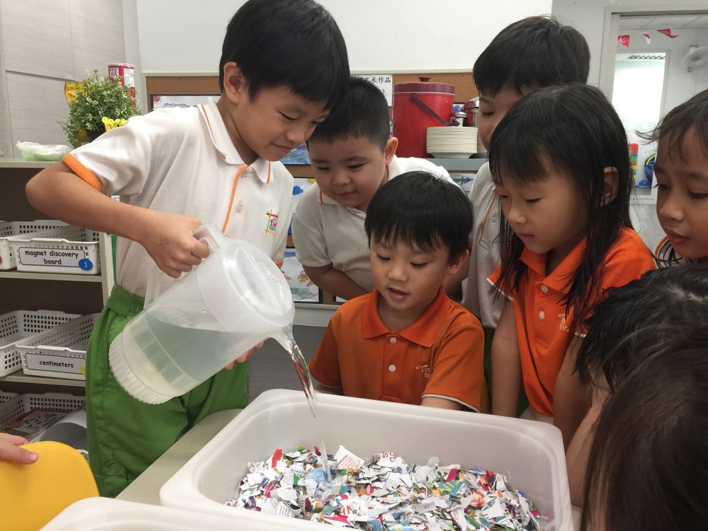 SSDB: REuse, REduce REcycle — photo 3